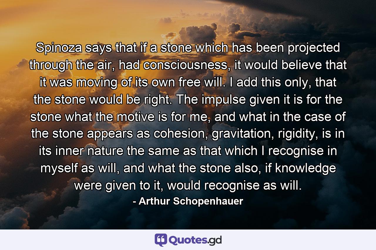 Spinoza says that if a stone which has been projected through the air, had consciousness, it would believe that it was moving of its own free will. I add this only, that the stone would be right. The impulse given it is for the stone what the motive is for me, and what in the case of the stone appears as cohesion, gravitation, rigidity, is in its inner nature the same as that which I recognise in myself as will, and what the stone also, if knowledge were given to it, would recognise as will. - Quote by Arthur Schopenhauer