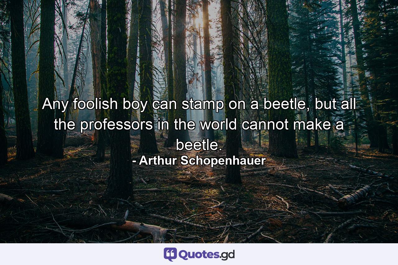 Any foolish boy can stamp on a beetle, but all the professors in the world cannot make a beetle. - Quote by Arthur Schopenhauer