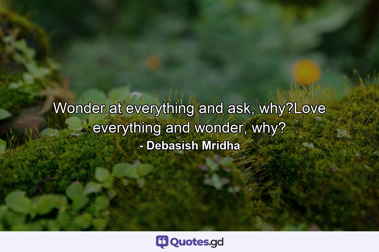 Wonder at everything and ask, why?Love everything and wonder, why? - Quote by Debasish Mridha