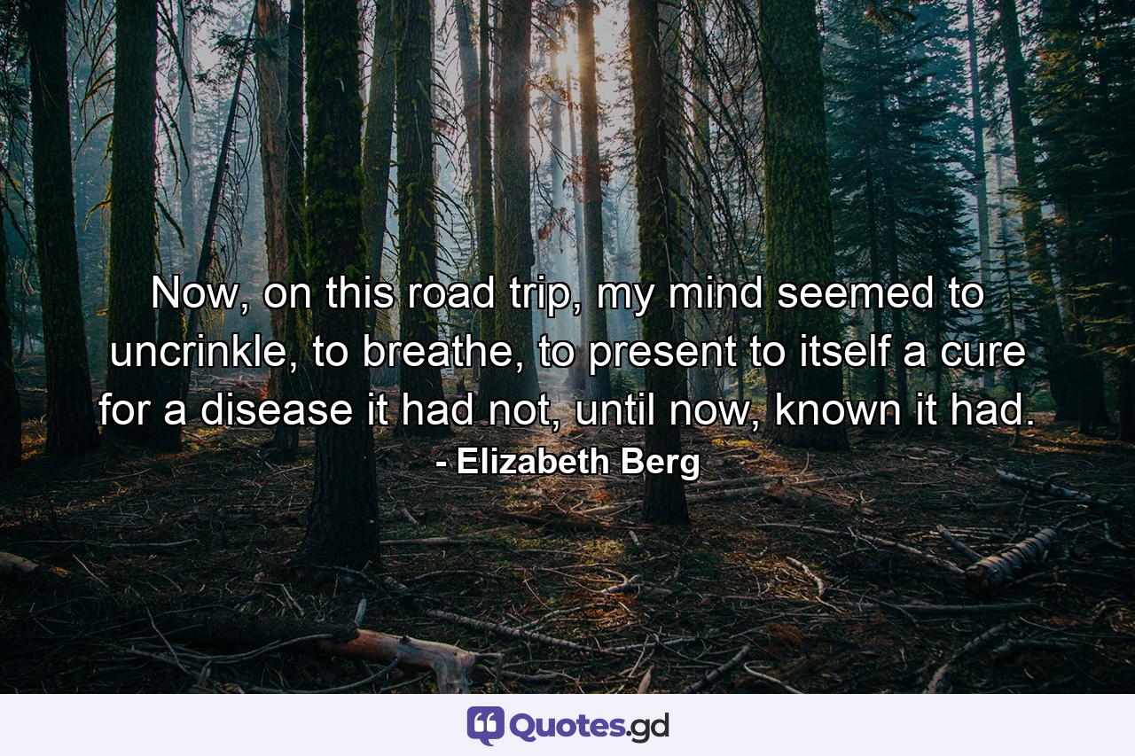 Now, on this road trip, my mind seemed to uncrinkle, to breathe, to present to itself a cure for a disease it had not, until now, known it had. - Quote by Elizabeth Berg