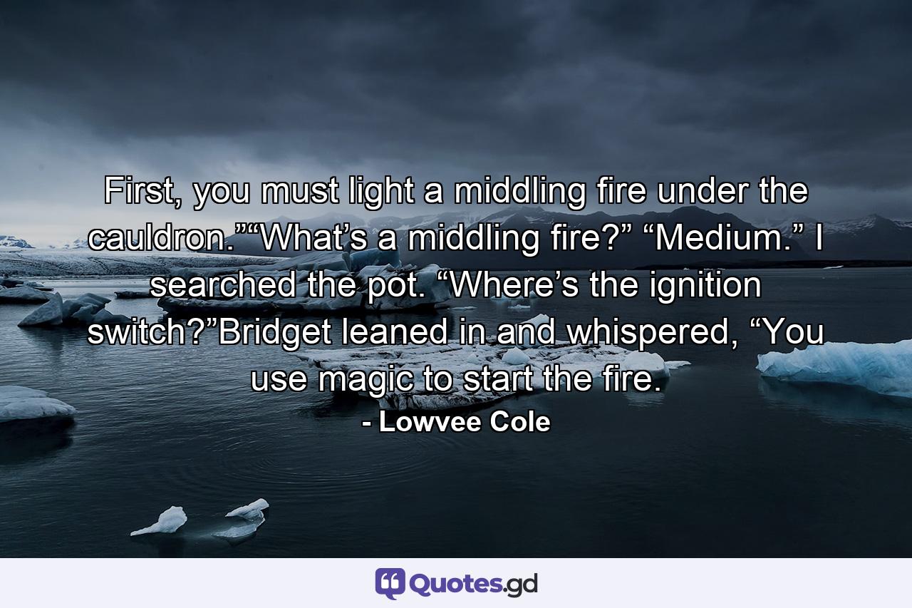 First, you must light a middling fire under the cauldron.”“What’s a middling fire?” “Medium.” I searched the pot. “Where’s the ignition switch?”Bridget leaned in and whispered, “You use magic to start the fire. - Quote by Lowvee Cole