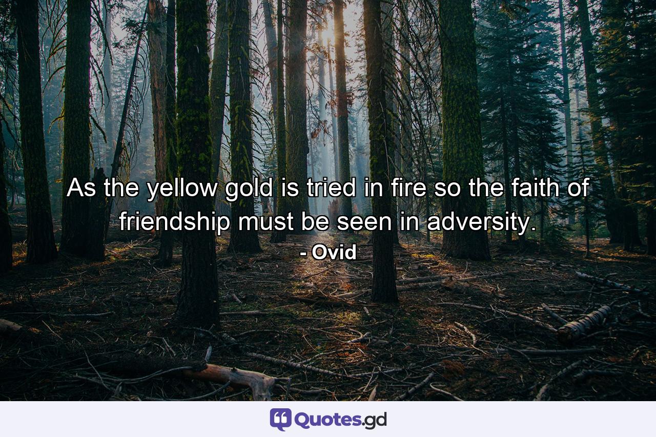 As the yellow gold is tried in fire  so the faith of friendship must be seen in adversity. - Quote by Ovid