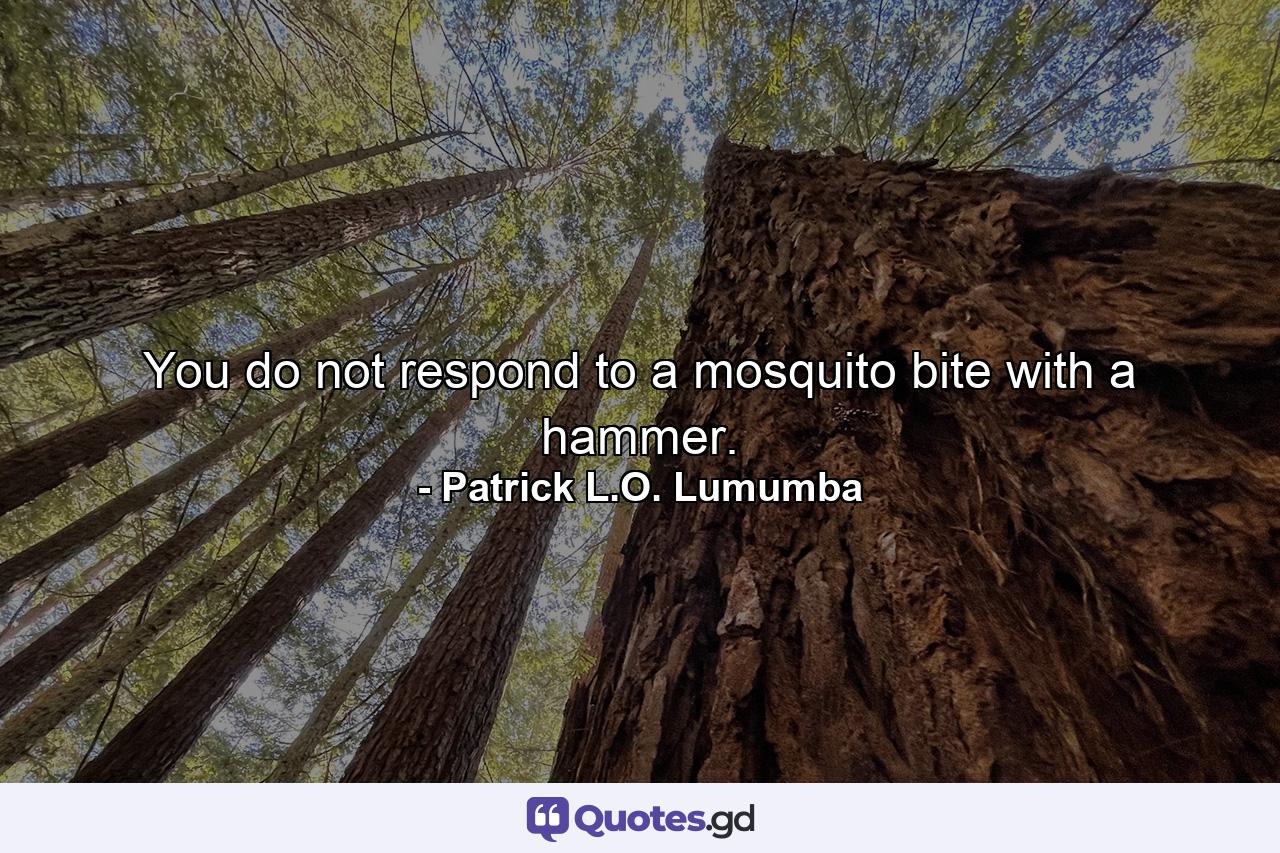 You do not respond to a mosquito bite with a hammer. - Quote by Patrick L.O. Lumumba