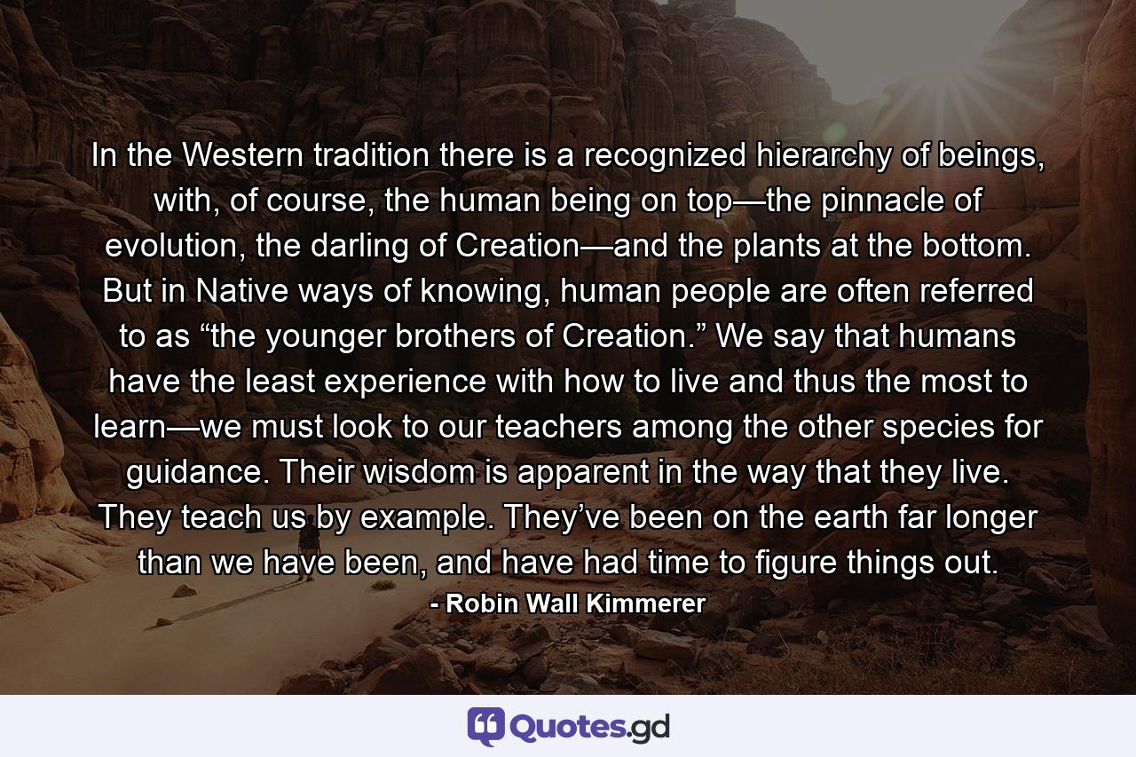 In the Western tradition there is a recognized hierarchy of beings, with, of course, the human being on top—the pinnacle of evolution, the darling of Creation—and the plants at the bottom. But in Native ways of knowing, human people are often referred to as “the younger brothers of Creation.” We say that humans have the least experience with how to live and thus the most to learn—we must look to our teachers among the other species for guidance. Their wisdom is apparent in the way that they live. They teach us by example. They’ve been on the earth far longer than we have been, and have had time to figure things out. - Quote by Robin Wall Kimmerer