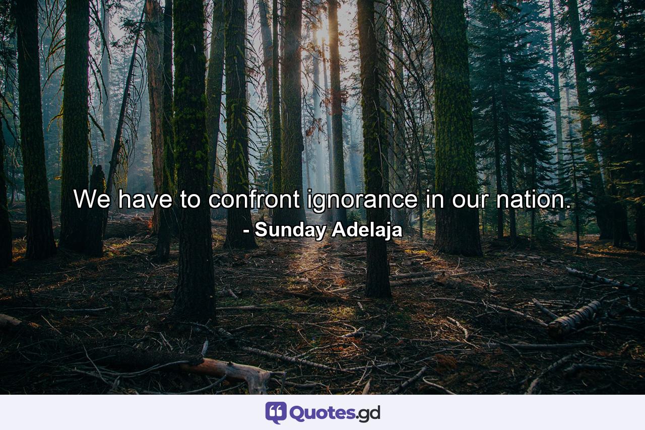 We have to confront ignorance in our nation. - Quote by Sunday Adelaja