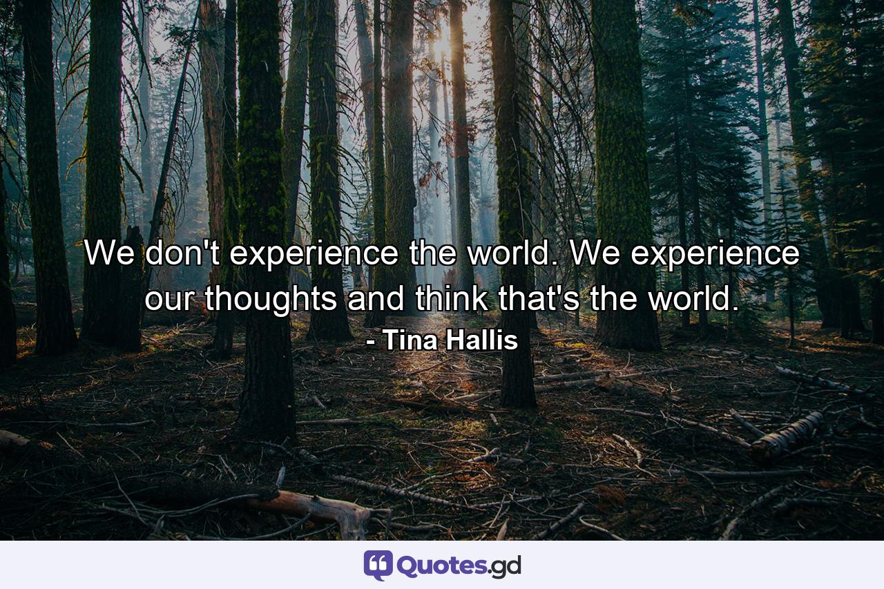 We don't experience the world. We experience our thoughts and think that's the world. - Quote by Tina Hallis