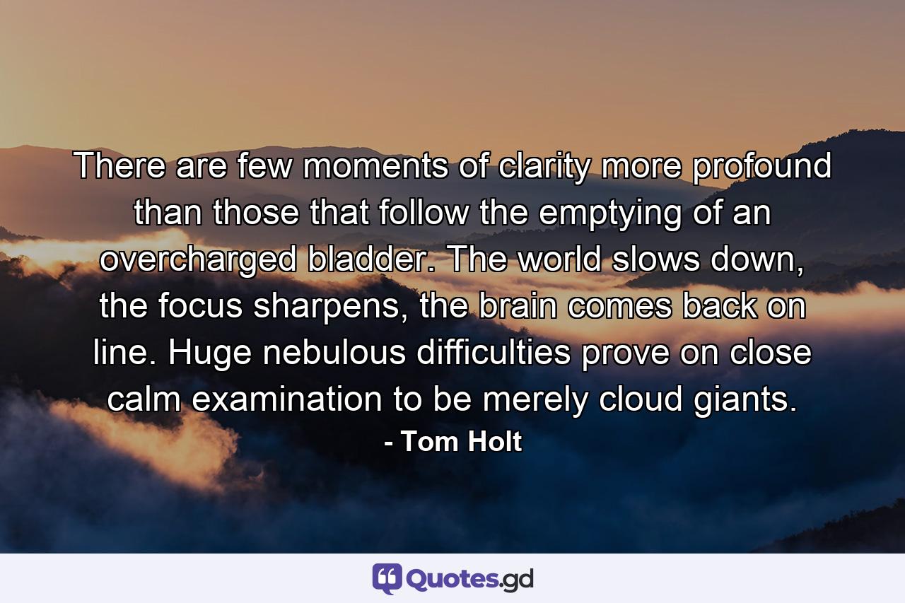 There are few moments of clarity more profound than those that follow the emptying of an overcharged bladder. The world slows down, the focus sharpens, the brain comes back on line. Huge nebulous difficulties prove on close calm examination to be merely cloud giants. - Quote by Tom Holt