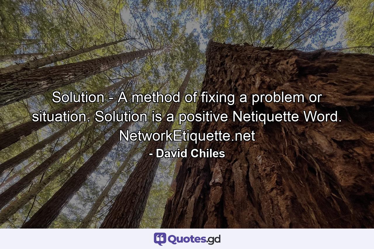 Solution - A method of fixing a problem or situation. Solution is a positive Netiquette Word. NetworkEtiquette.net - Quote by David Chiles