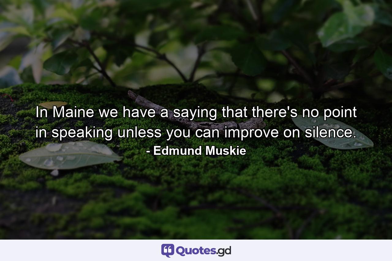 In Maine we have a saying that there's no point in speaking unless you can improve on silence. - Quote by Edmund Muskie