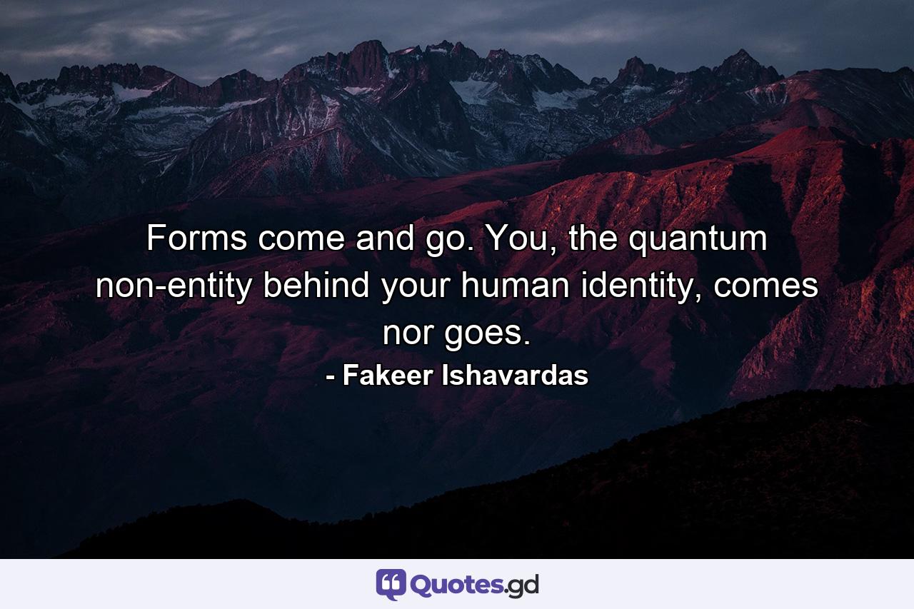 Forms come and go. You, the quantum non-entity behind your human identity, comes nor goes. - Quote by Fakeer Ishavardas