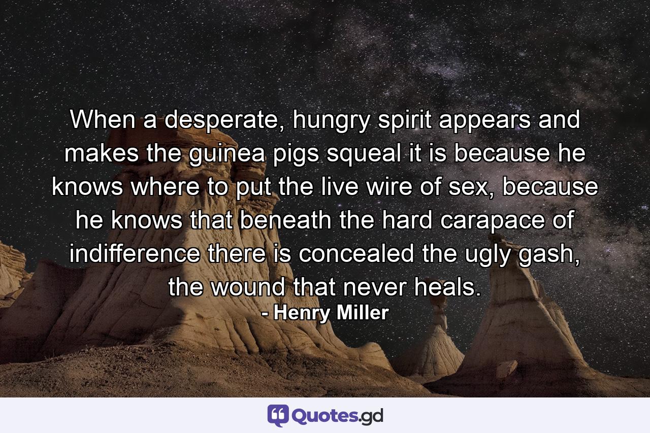 When a desperate, hungry spirit appears and makes the guinea pigs squeal it is because he knows where to put the live wire of sex, because he knows that beneath the hard carapace of indifference there is concealed the ugly gash, the wound that never heals. - Quote by Henry Miller