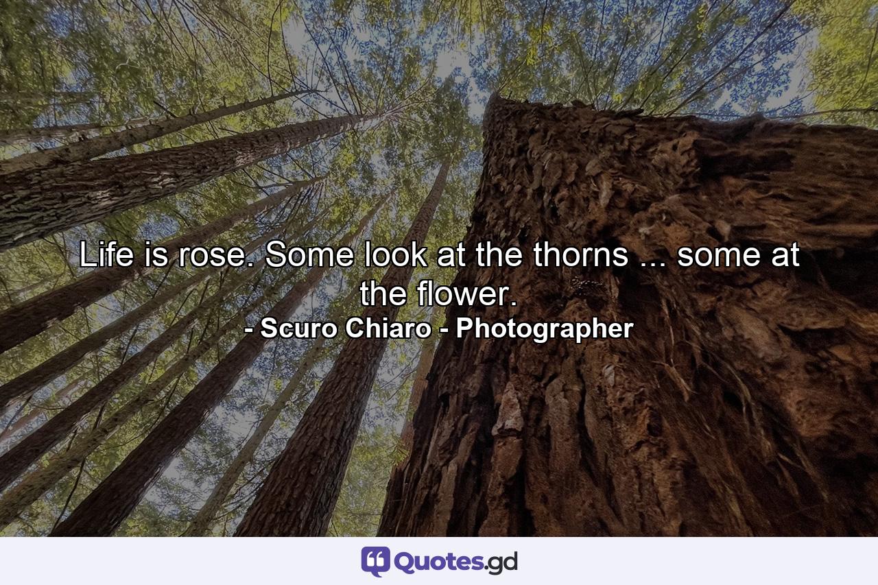 Life is rose. Some look at the thorns ... some at the flower. - Quote by Scuro Chiaro - Photographer