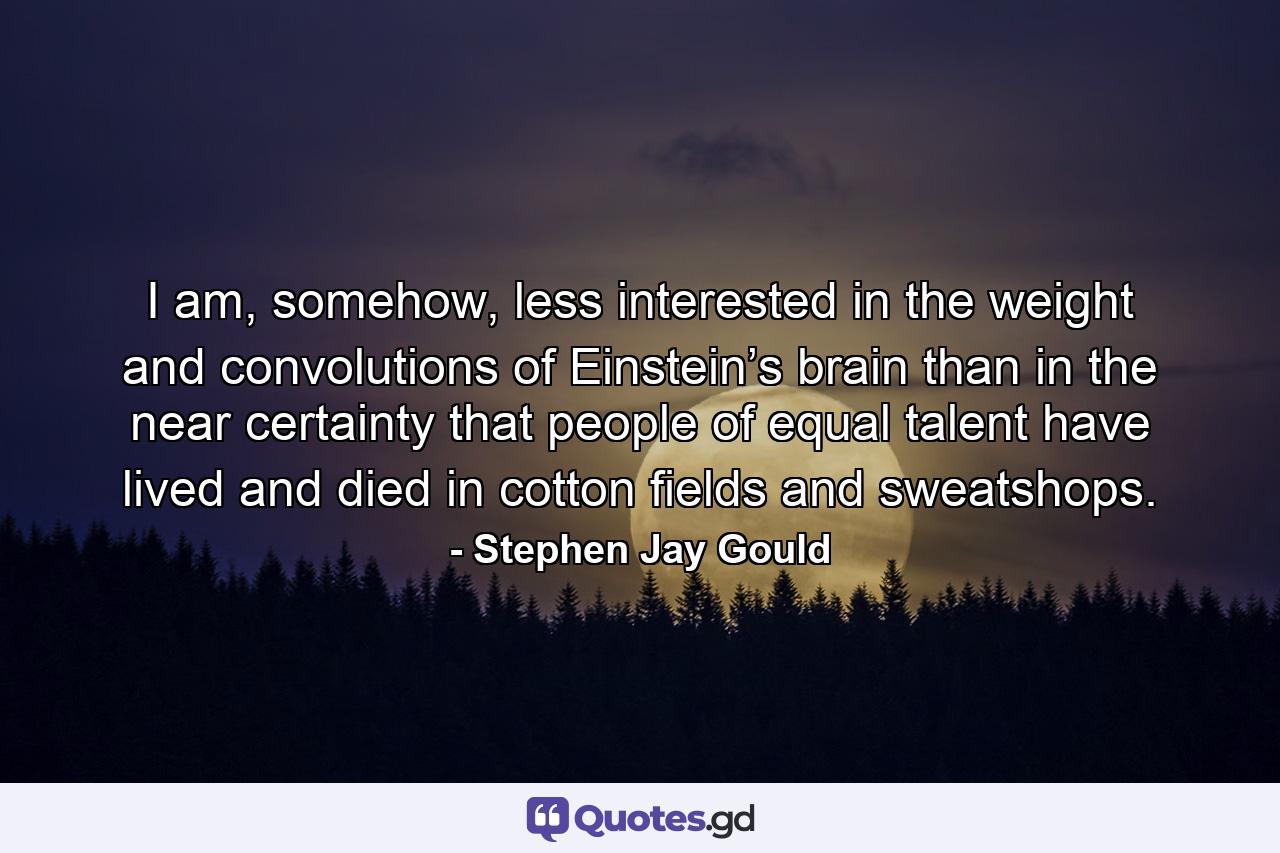 I am, somehow, less interested in the weight and convolutions of Einstein’s brain than in the near certainty that people of equal talent have lived and died in cotton fields and sweatshops. - Quote by Stephen Jay Gould