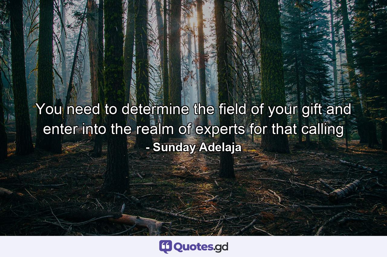 You need to determine the field of your gift and enter into the realm of experts for that calling - Quote by Sunday Adelaja