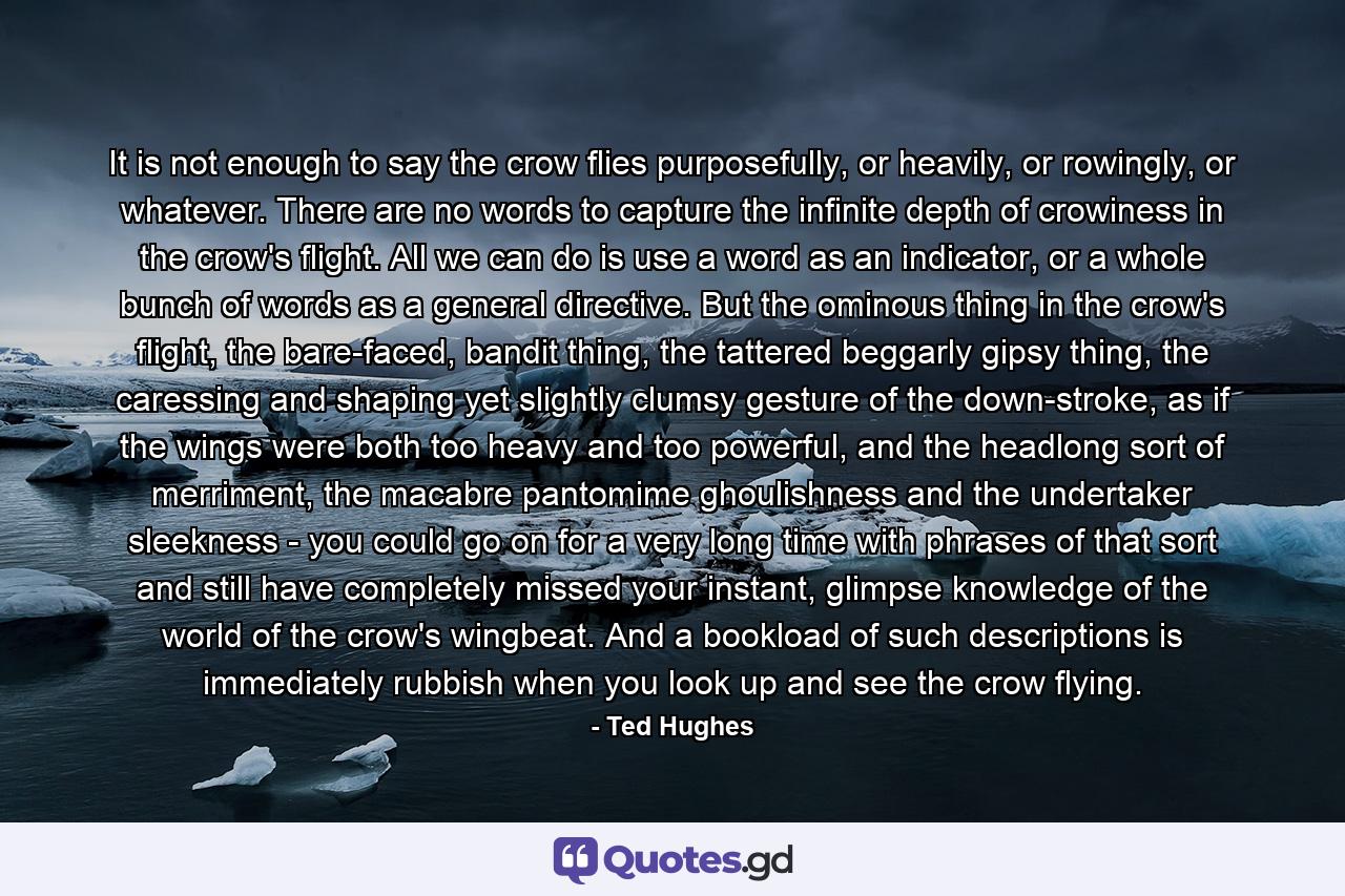 It is not enough to say the crow flies purposefully, or heavily, or rowingly, or whatever. There are no words to capture the infinite depth of crowiness in the crow's flight. All we can do is use a word as an indicator, or a whole bunch of words as a general directive. But the ominous thing in the crow's flight, the bare-faced, bandit thing, the tattered beggarly gipsy thing, the caressing and shaping yet slightly clumsy gesture of the down-stroke, as if the wings were both too heavy and too powerful, and the headlong sort of merriment, the macabre pantomime ghoulishness and the undertaker sleekness - you could go on for a very long time with phrases of that sort and still have completely missed your instant, glimpse knowledge of the world of the crow's wingbeat. And a bookload of such descriptions is immediately rubbish when you look up and see the crow flying. - Quote by Ted Hughes