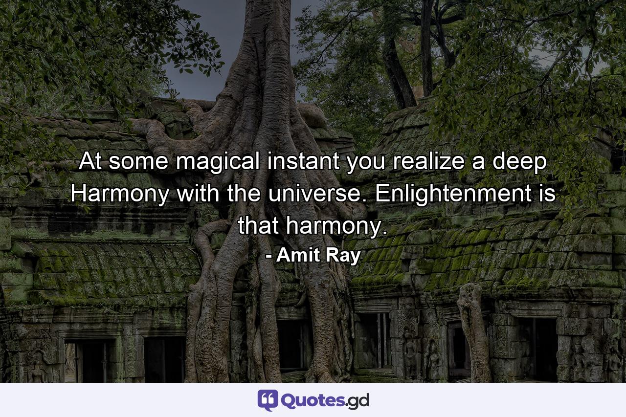 At some magical instant you realize a deep Harmony with the universe. Enlightenment is that harmony. - Quote by Amit Ray