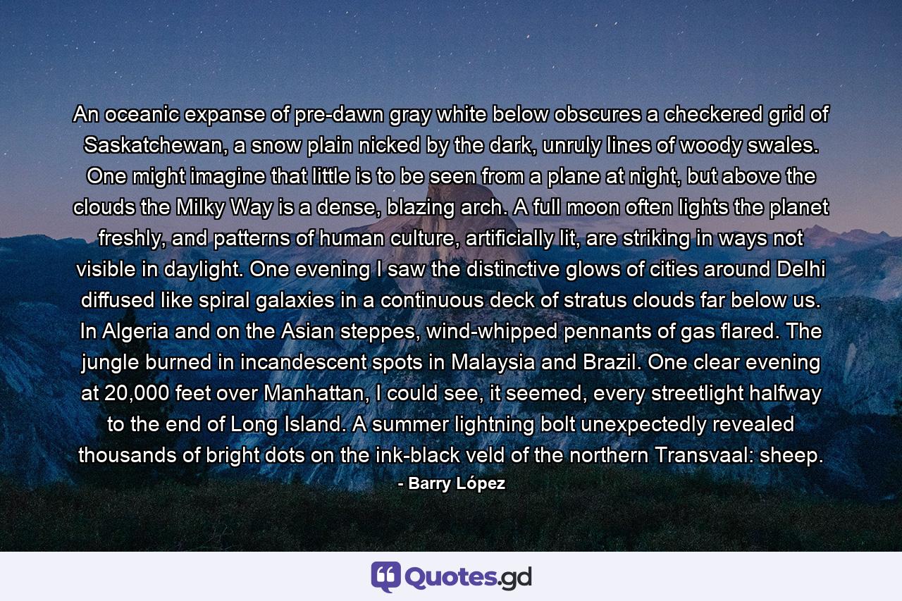 An oceanic expanse of pre-dawn gray white below obscures a checkered grid of Saskatchewan, a snow plain nicked by the dark, unruly lines of woody swales. One might imagine that little is to be seen from a plane at night, but above the clouds the Milky Way is a dense, blazing arch. A full moon often lights the planet freshly, and patterns of human culture, artificially lit, are striking in ways not visible in daylight. One evening I saw the distinctive glows of cities around Delhi diffused like spiral galaxies in a continuous deck of stratus clouds far below us. In Algeria and on the Asian steppes, wind-whipped pennants of gas flared. The jungle burned in incandescent spots in Malaysia and Brazil. One clear evening at 20,000 feet over Manhattan, I could see, it seemed, every streetlight halfway to the end of Long Island. A summer lightning bolt unexpectedly revealed thousands of bright dots on the ink-black veld of the northern Transvaal: sheep. - Quote by Barry López