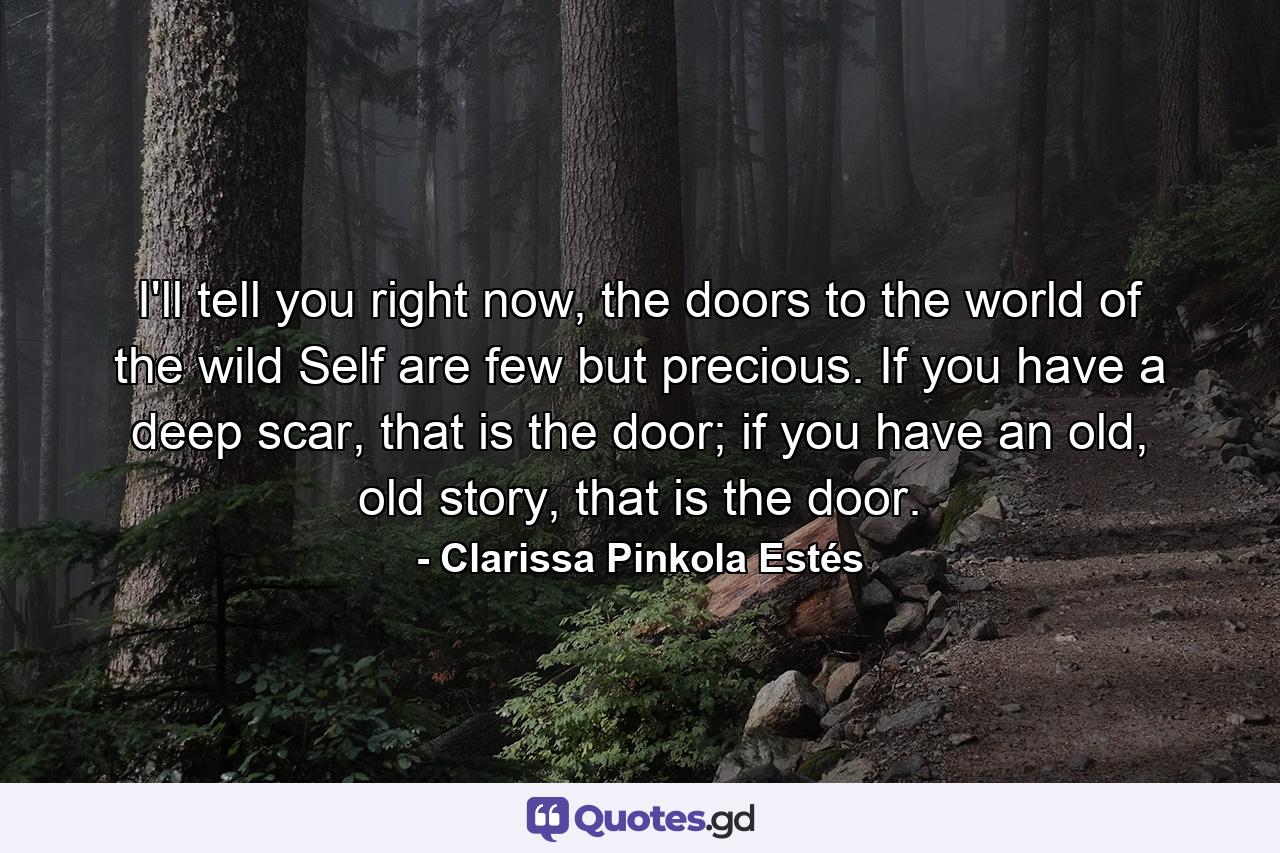 I'll tell you right now, the doors to the world of the wild Self are few but precious. If you have a deep scar, that is the door; if you have an old, old story, that is the door. - Quote by Clarissa Pinkola Estés