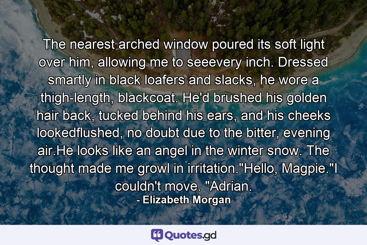 The nearest arched window poured its soft light over him, allowing me to seeevery inch. Dressed smartly in black loafers and slacks, he wore a thigh-length, blackcoat. He'd brushed his golden hair back, tucked behind his ears, and his cheeks lookedflushed, no doubt due to the bitter, evening air.He looks like an angel in the winter snow. The thought made me growl in irritation.