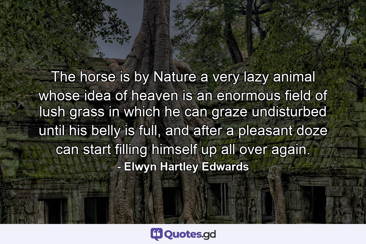 The horse is by Nature a very lazy animal whose idea of heaven is an enormous field of lush grass in which he can graze undisturbed until his belly is full, and after a pleasant doze can start filling himself up all over again. - Quote by Elwyn Hartley Edwards