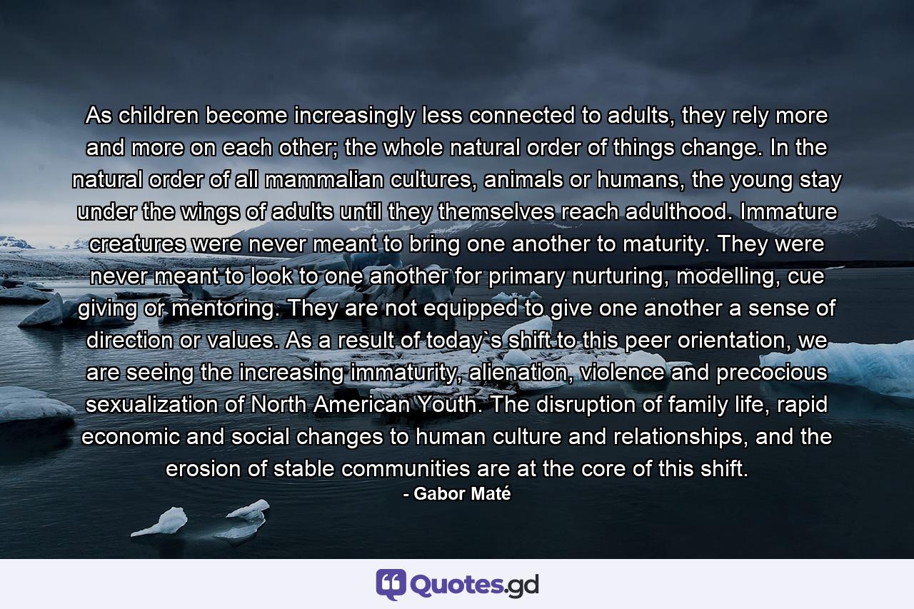 As children become increasingly less connected to adults, they rely more and more on each other; the whole natural order of things change. In the natural order of all mammalian cultures, animals or humans, the young stay under the wings of adults until they themselves reach adulthood. Immature creatures were never meant to bring one another to maturity. They were never meant to look to one another for primary nurturing, modelling, cue giving or mentoring. They are not equipped to give one another a sense of direction or values. As a result of today`s shift to this peer orientation, we are seeing the increasing immaturity, alienation, violence and precocious sexualization of North American Youth. The disruption of family life, rapid economic and social changes to human culture and relationships, and the erosion of stable communities are at the core of this shift. - Quote by Gabor Maté