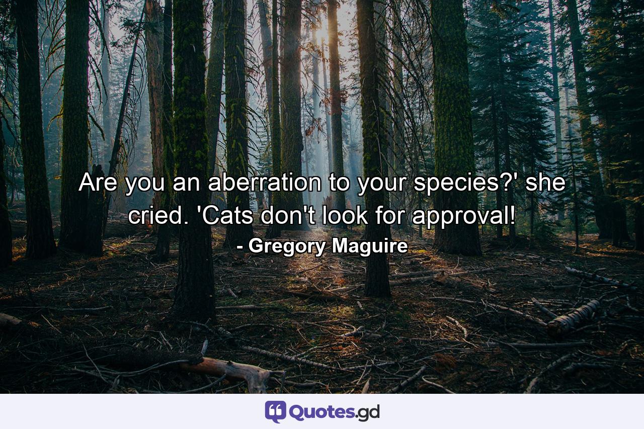 Are you an aberration to your species?' she cried. 'Cats don't look for approval! - Quote by Gregory Maguire