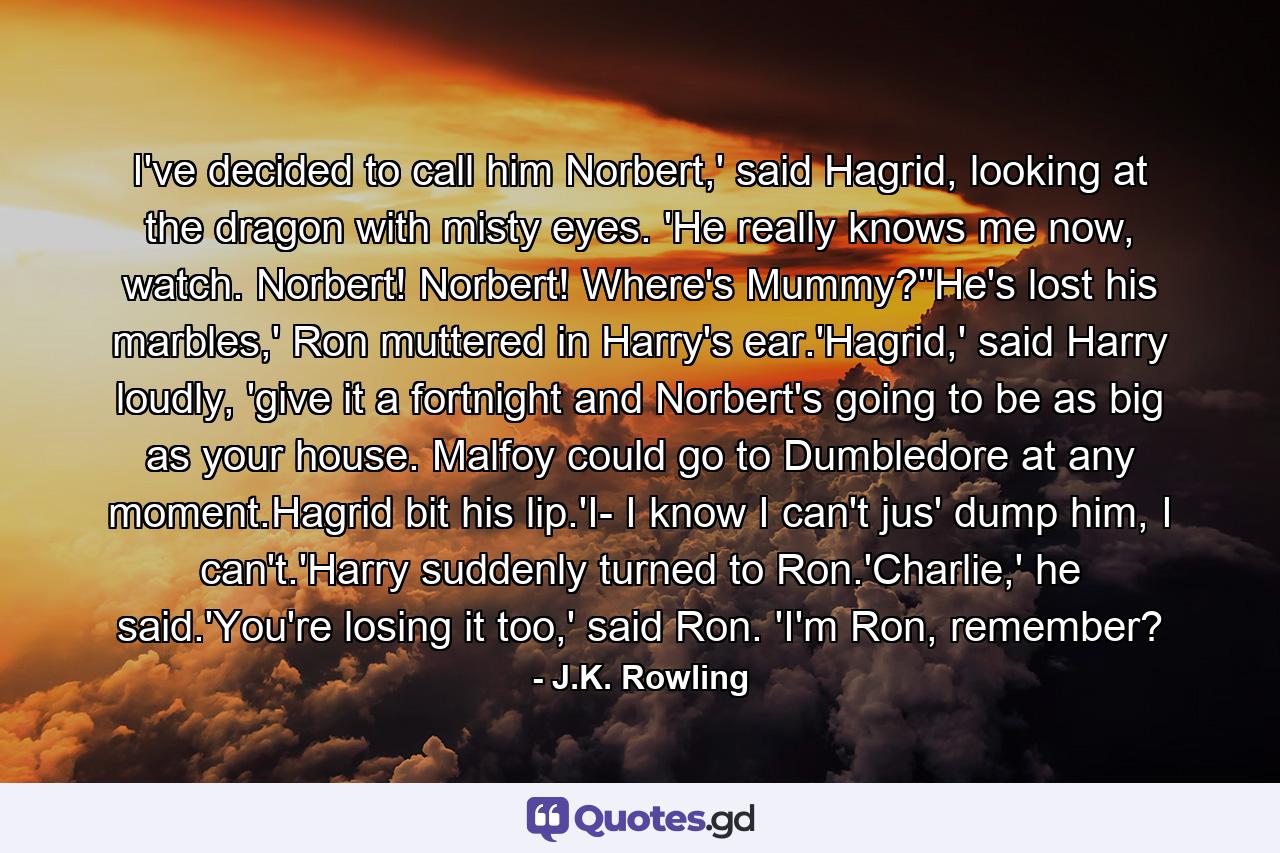 I've decided to call him Norbert,' said Hagrid, looking at the dragon with misty eyes. 'He really knows me now, watch. Norbert! Norbert! Where's Mummy?''He's lost his marbles,' Ron muttered in Harry's ear.'Hagrid,' said Harry loudly, 'give it a fortnight and Norbert's going to be as big as your house. Malfoy could go to Dumbledore at any moment.Hagrid bit his lip.'I- I know I can't jus' dump him, I can't.'Harry suddenly turned to Ron.'Charlie,' he said.'You're losing it too,' said Ron. 'I'm Ron, remember? - Quote by J.K. Rowling