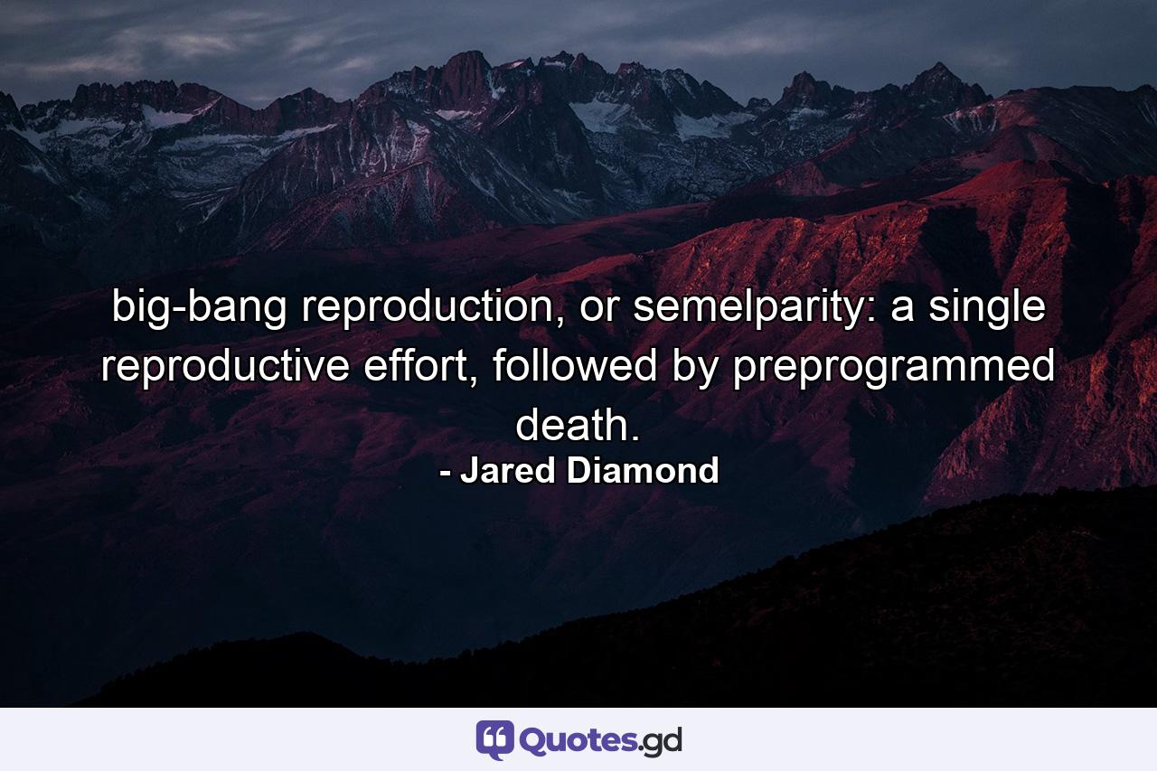 big-bang reproduction, or semelparity: a single reproductive effort, followed by preprogrammed death. - Quote by Jared Diamond