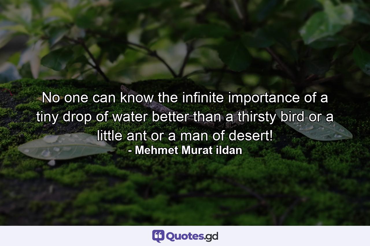 No one can know the infinite importance of a tiny drop of water better than a thirsty bird or a little ant or a man of desert! - Quote by Mehmet Murat ildan