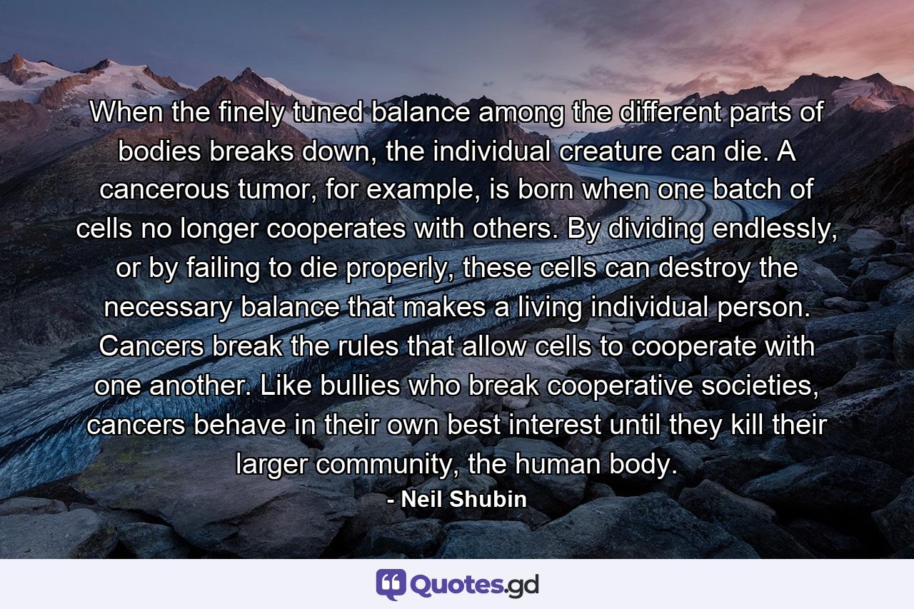 When the finely tuned balance among the different parts of bodies breaks down, the individual creature can die. A cancerous tumor, for example, is born when one batch of cells no longer cooperates with others. By dividing endlessly, or by failing to die properly, these cells can destroy the necessary balance that makes a living individual person. Cancers break the rules that allow cells to cooperate with one another. Like bullies who break cooperative societies, cancers behave in their own best interest until they kill their larger community, the human body. - Quote by Neil Shubin