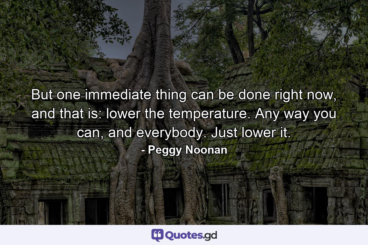 But one immediate thing can be done right now, and that is: lower the temperature. Any way you can, and everybody. Just lower it. - Quote by Peggy Noonan