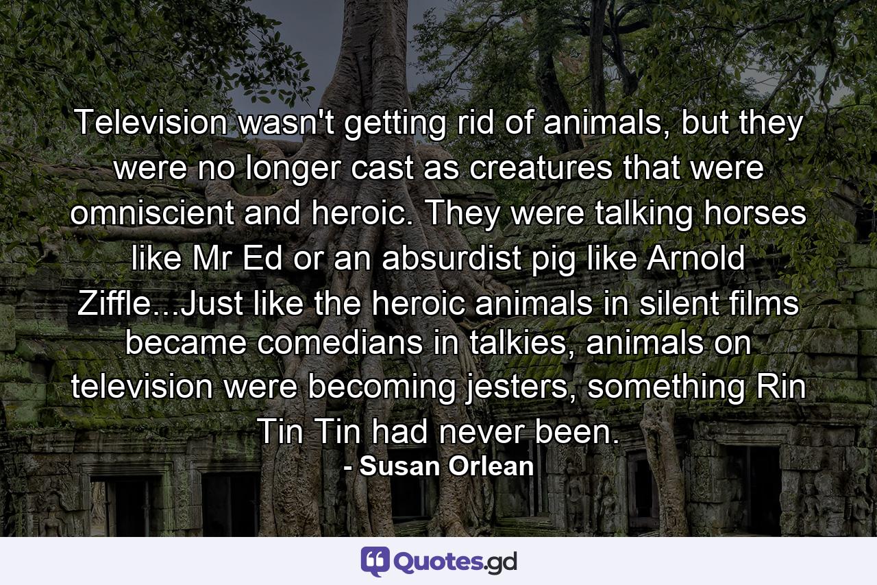 Television wasn't getting rid of animals, but they were no longer cast as creatures that were omniscient and heroic. They were talking horses like Mr Ed or an absurdist pig like Arnold Ziffle...Just like the heroic animals in silent films became comedians in talkies, animals on television were becoming jesters, something Rin Tin Tin had never been. - Quote by Susan Orlean