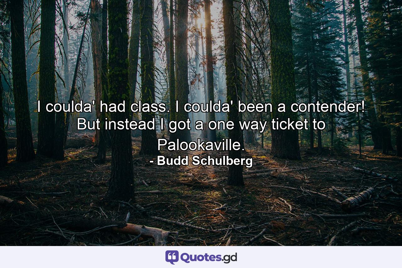 I coulda' had class. I coulda' been a contender! But instead I got a one way ticket to Palookaville. - Quote by Budd Schulberg