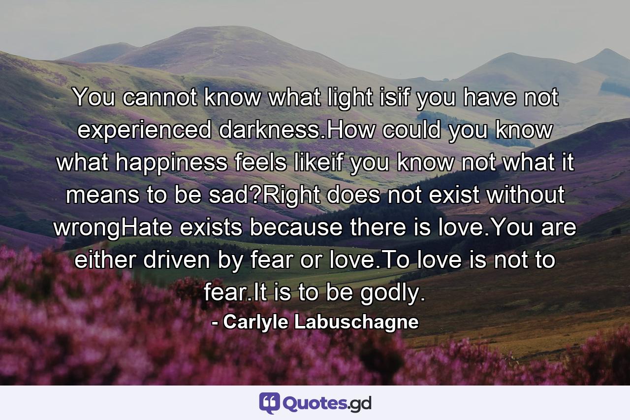 You cannot know what light isif you have not experienced darkness.How could you know what happiness feels likeif you know not what it means to be sad?Right does not exist without wrongHate exists because there is love.You are either driven by fear or love.To love is not to fear.It is to be godly. - Quote by Carlyle Labuschagne