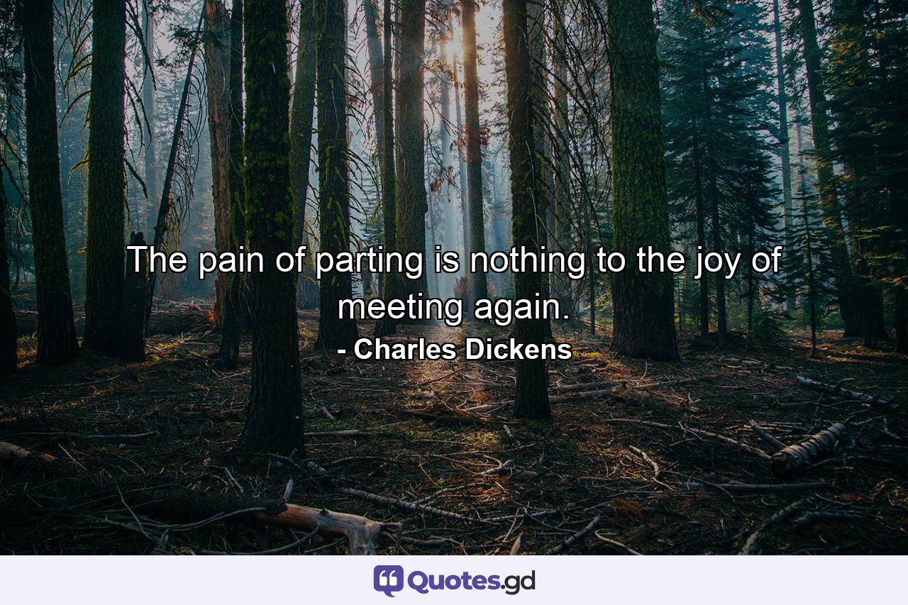 The pain of parting is nothing to the joy of meeting again. - Quote by Charles Dickens