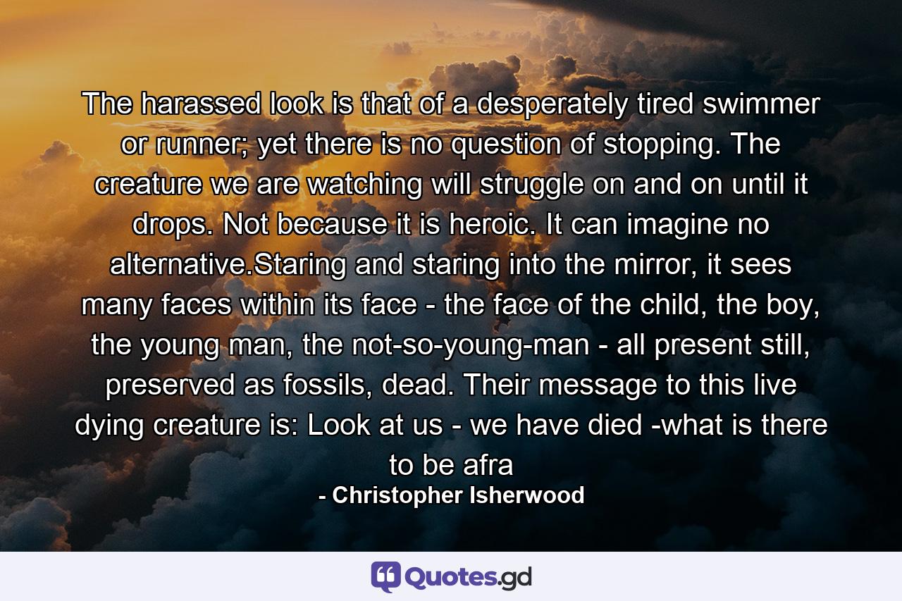 The harassed look is that of a desperately tired swimmer or runner; yet there is no question of stopping. The creature we are watching will struggle on and on until it drops. Not because it is heroic. It can imagine no alternative.Staring and staring into the mirror, it sees many faces within its face - the face of the child, the boy, the young man, the not-so-young-man - all present still, preserved as fossils, dead. Their message to this live dying creature is: Look at us - we have died -what is there to be afra - Quote by Christopher Isherwood