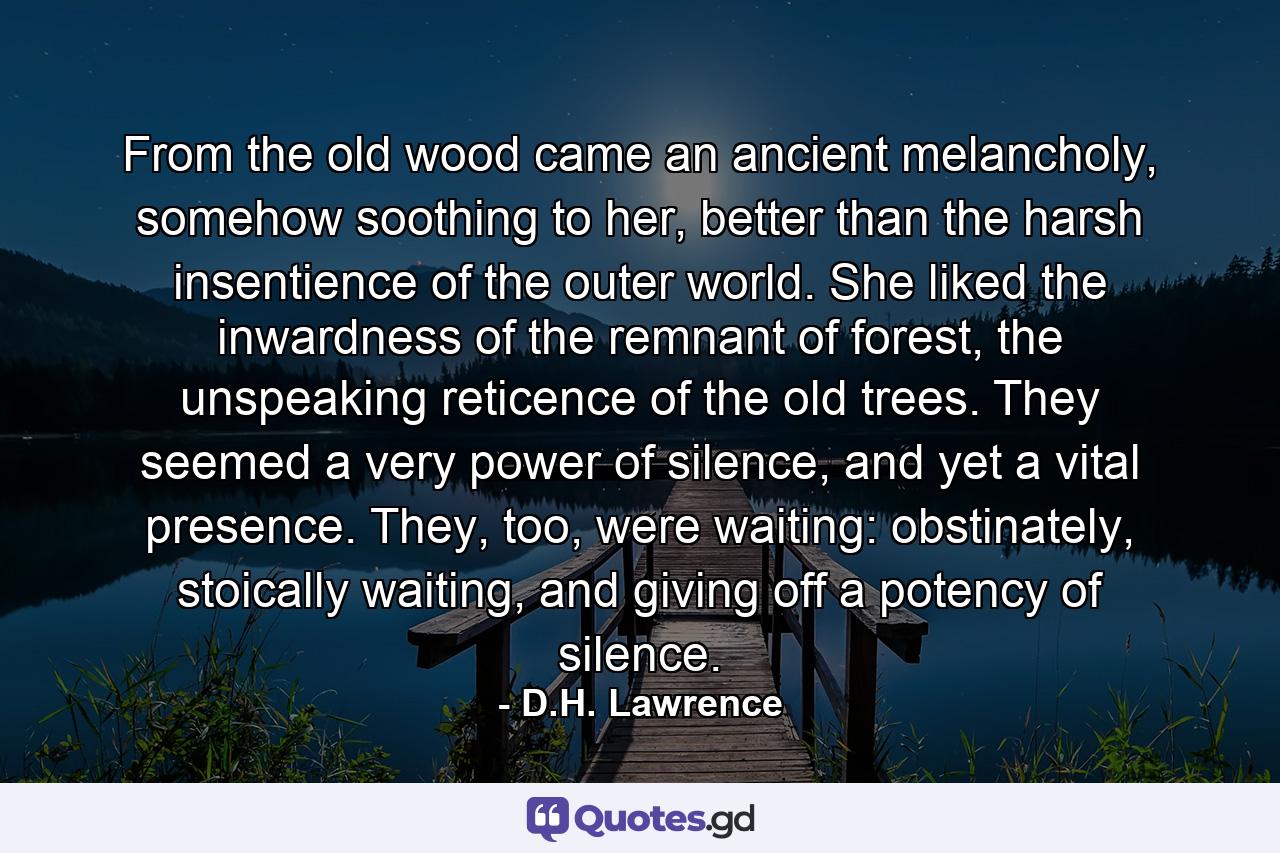 From the old wood came an ancient melancholy, somehow soothing to her, better than the harsh insentience of the outer world. She liked the inwardness of the remnant of forest, the unspeaking reticence of the old trees. They seemed a very power of silence, and yet a vital presence. They, too, were waiting: obstinately, stoically waiting, and giving off a potency of silence. - Quote by D.H. Lawrence