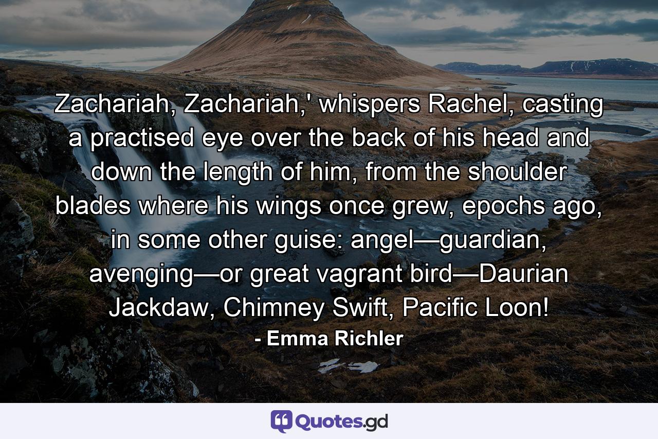 Zachariah, Zachariah,' whispers Rachel, casting a practised eye over the back of his head and down the length of him, from the shoulder blades where his wings once grew, epochs ago, in some other guise: angel—guardian, avenging—or great vagrant bird—Daurian Jackdaw, Chimney Swift, Pacific Loon! - Quote by Emma Richler