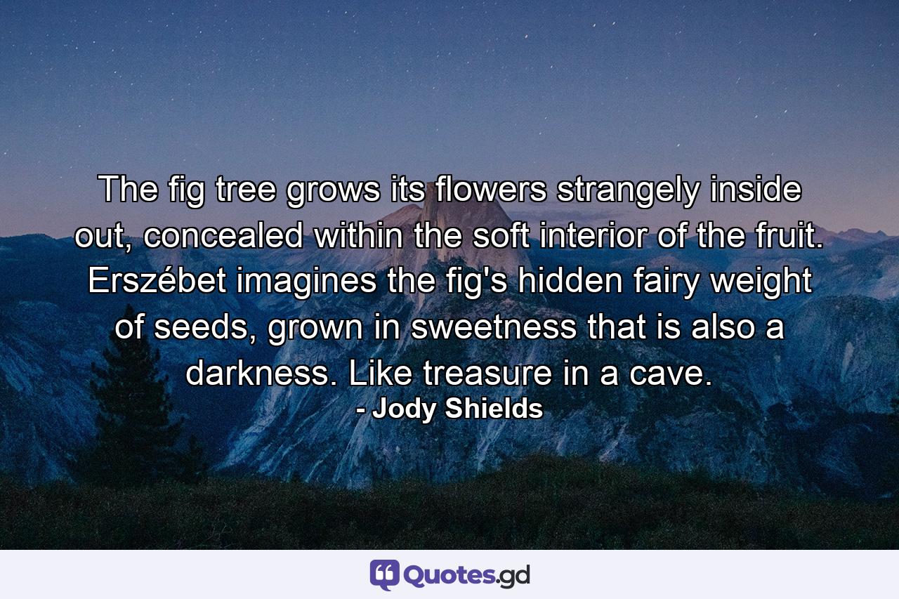 The fig tree grows its flowers strangely inside out, concealed within the soft interior of the fruit. Erszébet imagines the fig's hidden fairy weight of seeds, grown in sweetness that is also a darkness. Like treasure in a cave. - Quote by Jody Shields