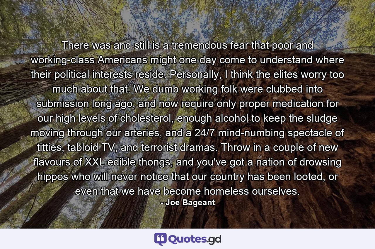 There was and still is a tremendous fear that poor and working-class Americans might one day come to understand where their political interests reside. Personally, I think the elites worry too much about that. We dumb working folk were clubbed into submission long ago, and now require only proper medication for our high levels of cholesterol, enough alcohol to keep the sludge moving through our arteries, and a 24/7 mind-numbing spectacle of titties, tabloid TV, and terrorist dramas. Throw in a couple of new flavours of XXL edible thongs, and you've got a nation of drowsing hippos who will never notice that our country has been looted, or even that we have become homeless ourselves. - Quote by Joe Bageant