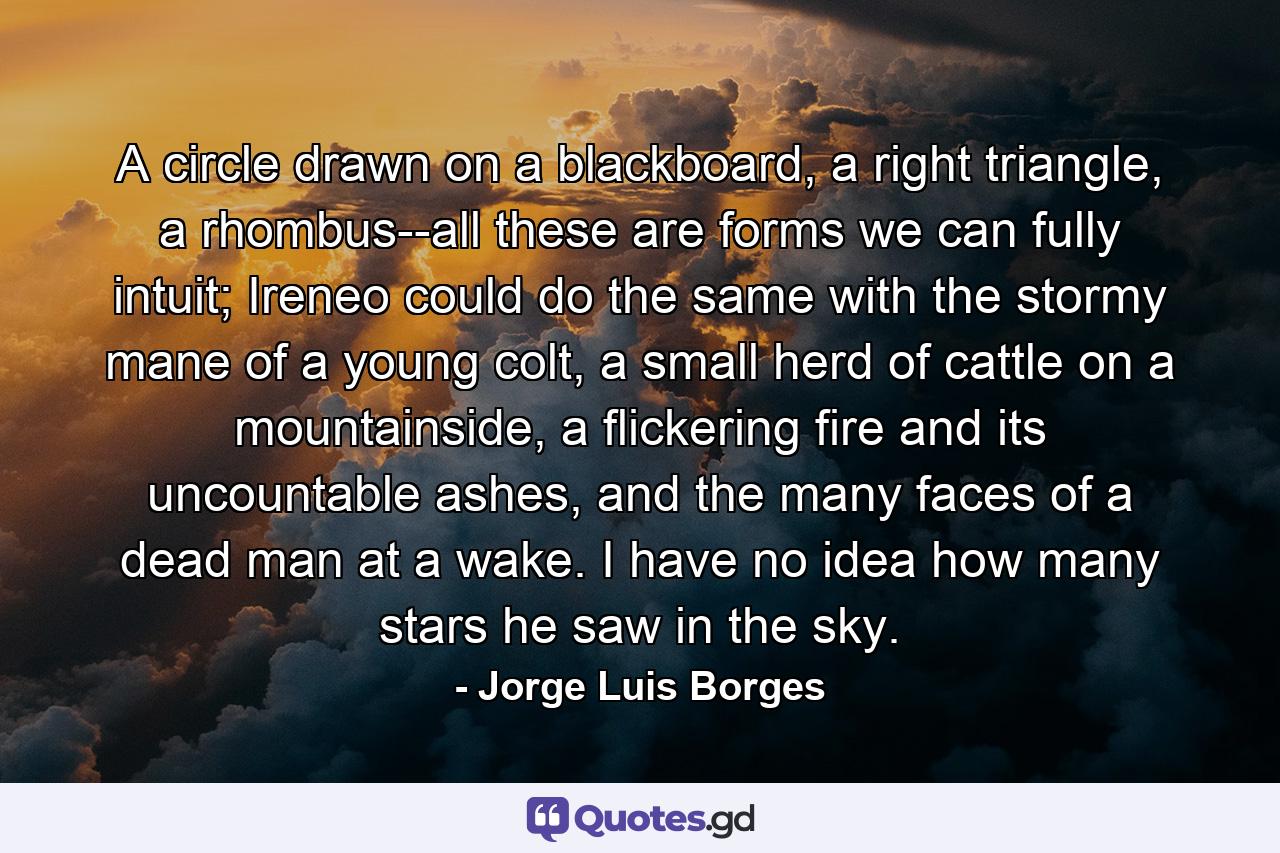 A circle drawn on a blackboard, a right triangle, a rhombus--all these are forms we can fully intuit; Ireneo could do the same with the stormy mane of a young colt, a small herd of cattle on a mountainside, a flickering fire and its uncountable ashes, and the many faces of a dead man at a wake. I have no idea how many stars he saw in the sky. - Quote by Jorge Luis Borges