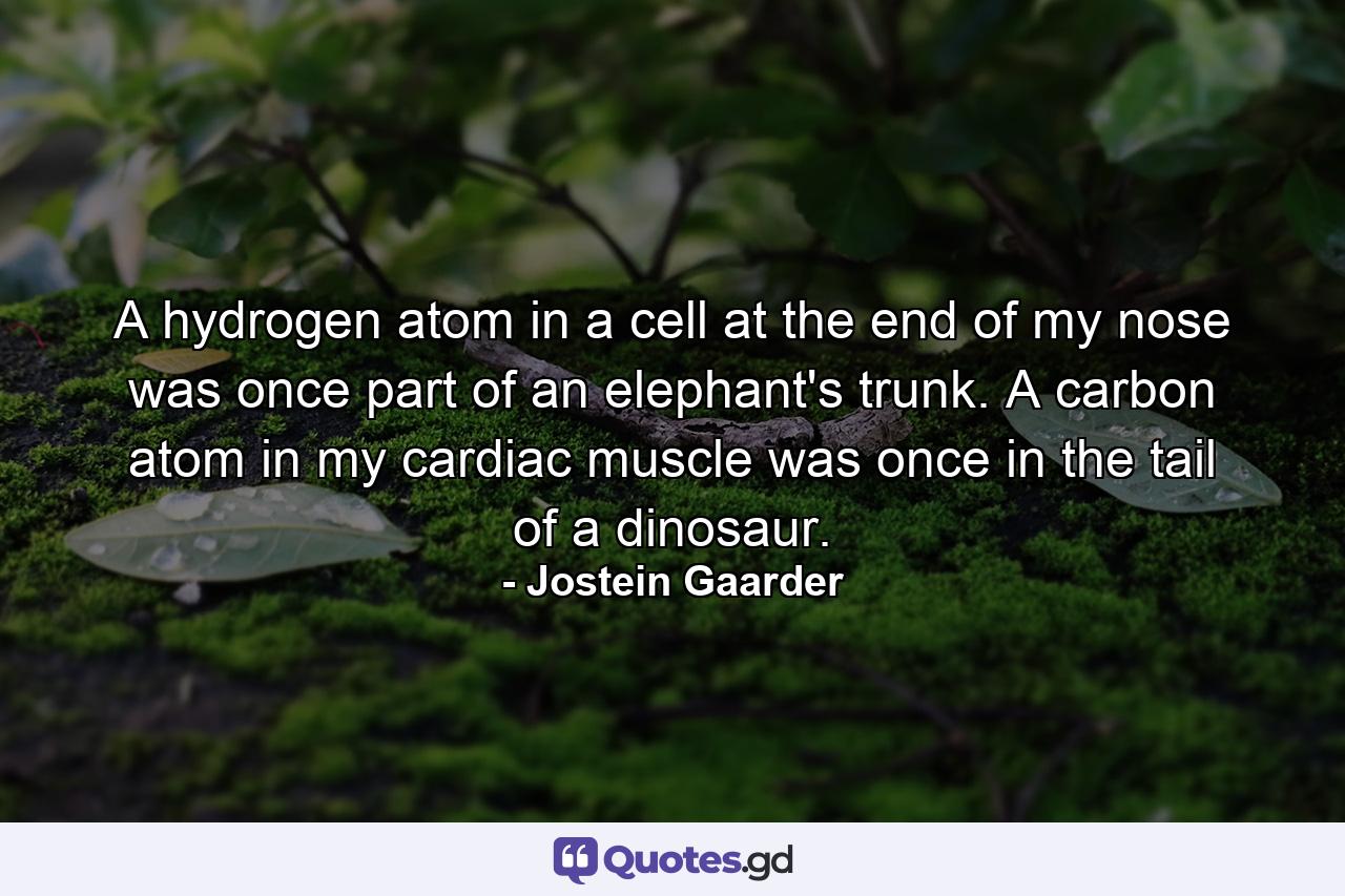 A hydrogen atom in a cell at the end of my nose was once part of an elephant's trunk. A carbon atom in my cardiac muscle was once in the tail of a dinosaur. - Quote by Jostein Gaarder