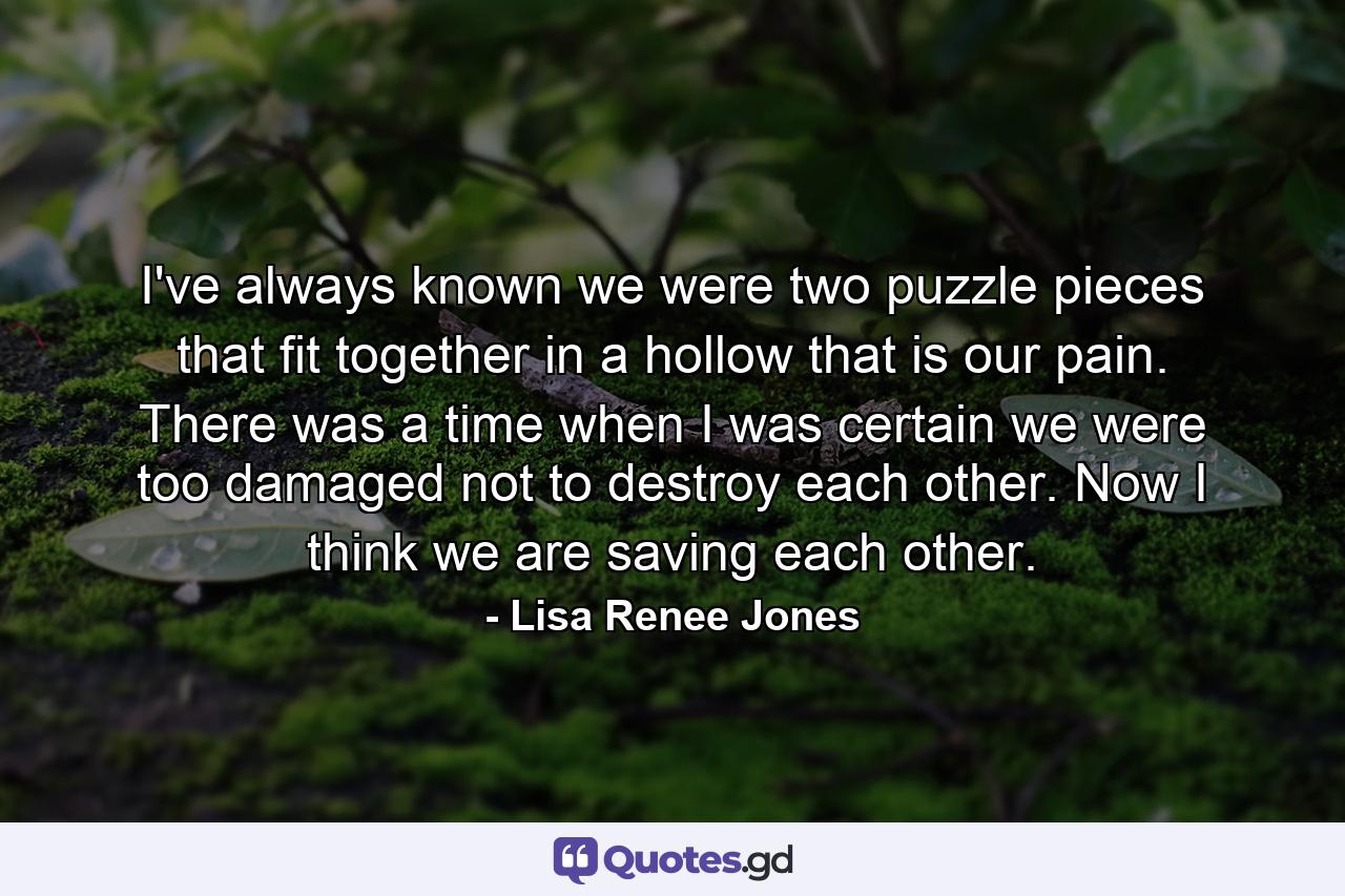 I've always known we were two puzzle pieces that fit together in a hollow that is our pain. There was a time when I was certain we were too damaged not to destroy each other. Now I think we are saving each other. - Quote by Lisa Renee Jones