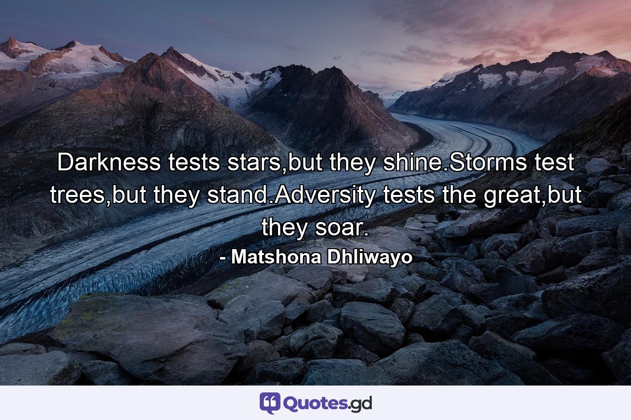 Darkness tests stars,but they shine.Storms test trees,but they stand.Adversity tests the great,but they soar. - Quote by Matshona Dhliwayo