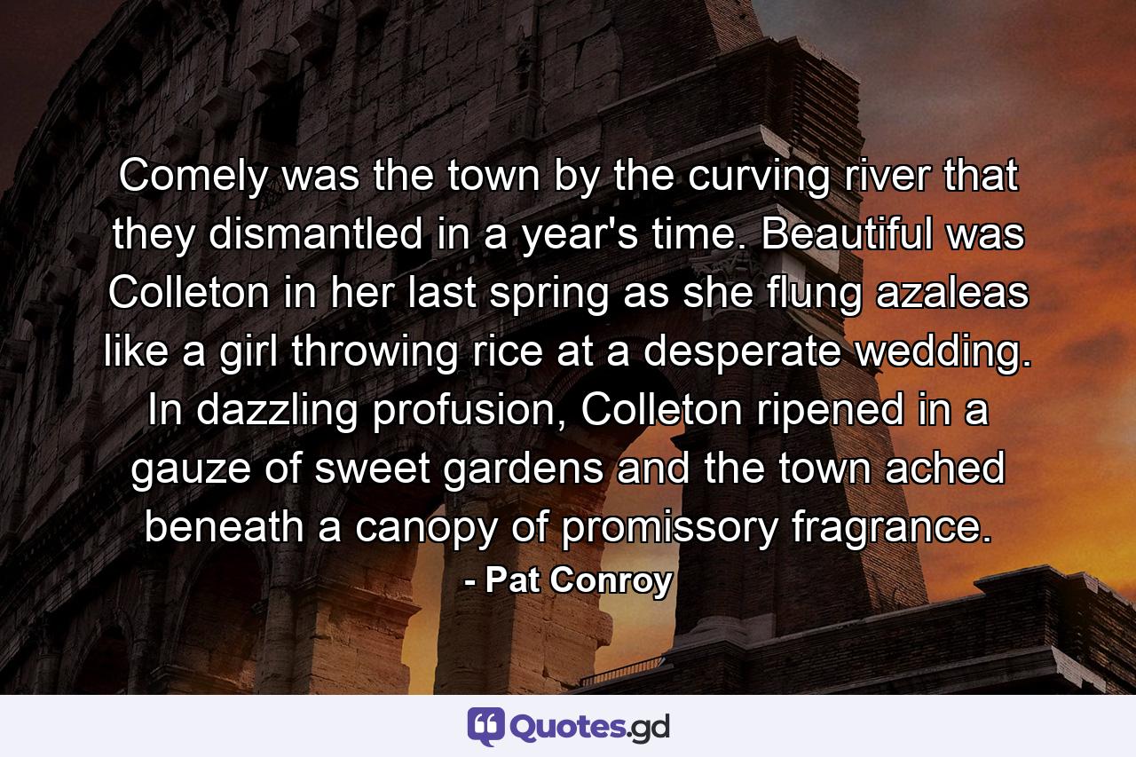 Comely was the town by the curving river that they dismantled in a year's time. Beautiful was Colleton in her last spring as she flung azaleas like a girl throwing rice at a desperate wedding. In dazzling profusion, Colleton ripened in a gauze of sweet gardens and the town ached beneath a canopy of promissory fragrance. - Quote by Pat Conroy