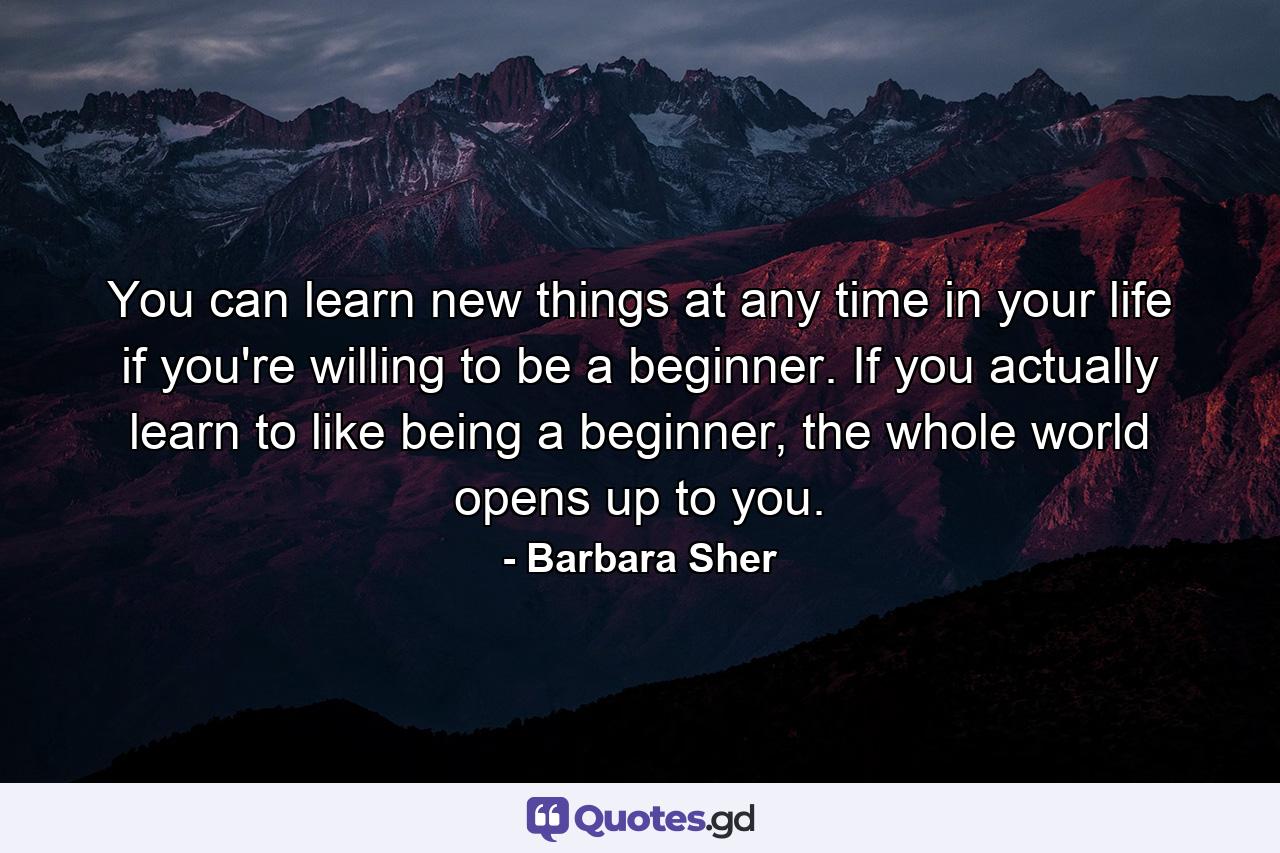 You can learn new things at any time in your life if you're willing to be a beginner. If you actually learn to like being a beginner, the whole world opens up to you. - Quote by Barbara Sher