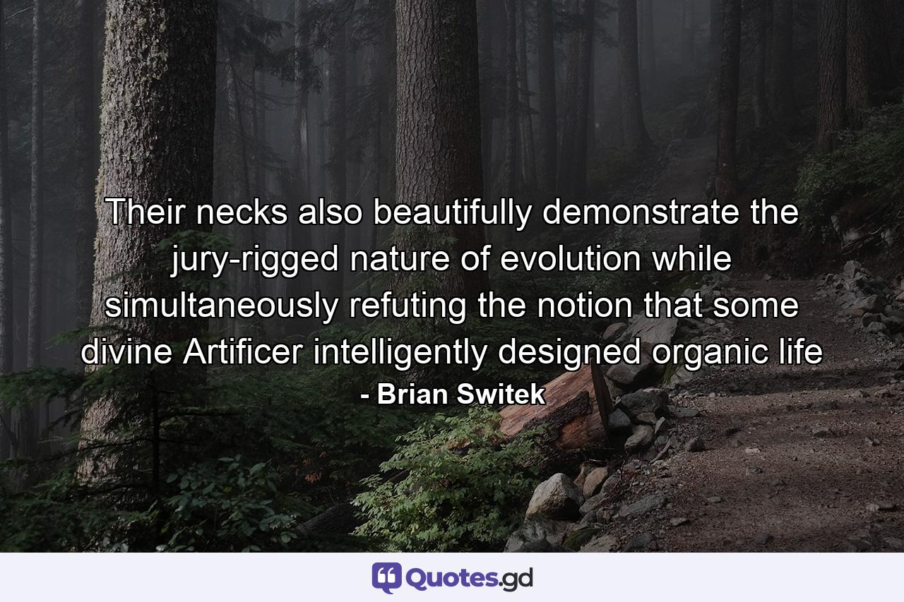 Their necks also beautifully demonstrate the jury-rigged nature of evolution while simultaneously refuting the notion that some divine Artificer intelligently designed organic life - Quote by Brian Switek