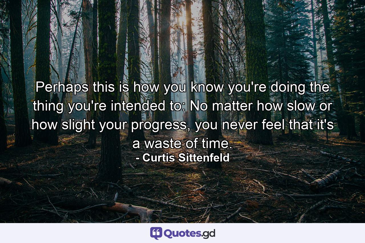 Perhaps this is how you know you're doing the thing you're intended to: No matter how slow or how slight your progress, you never feel that it's a waste of time. - Quote by Curtis Sittenfeld