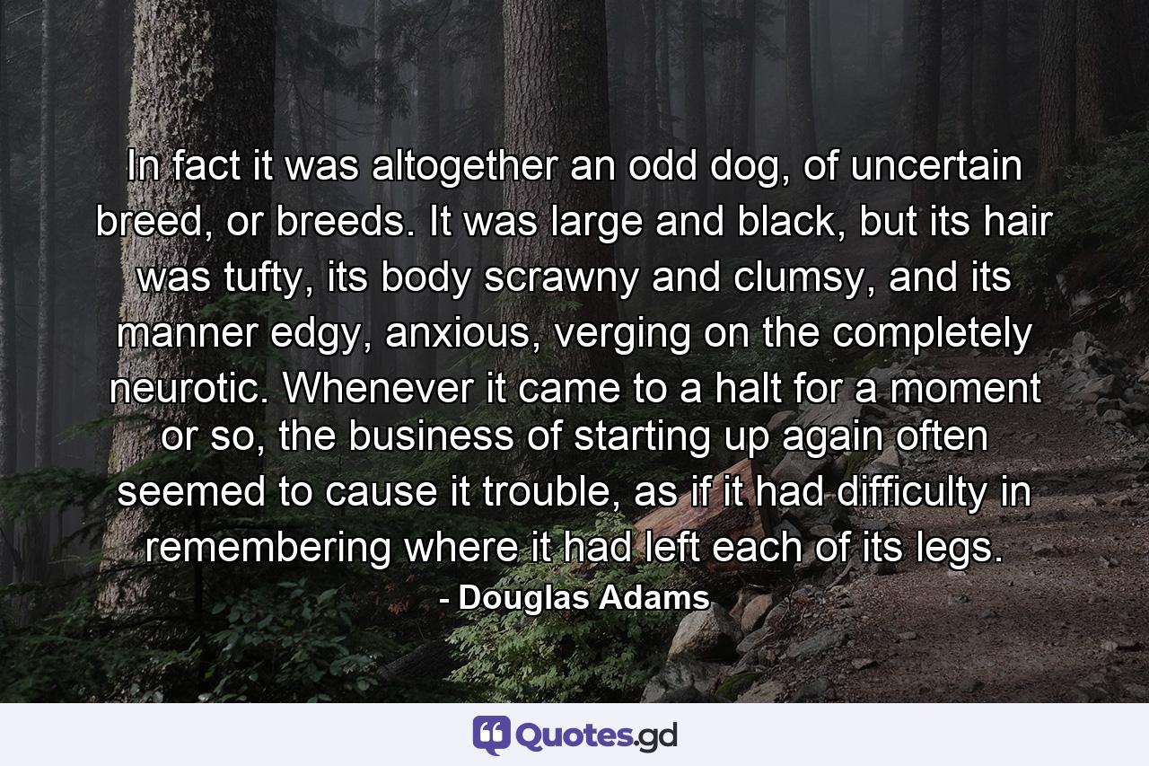 In fact it was altogether an odd dog, of uncertain breed, or breeds. It was large and black, but its hair was tufty, its body scrawny and clumsy, and its manner edgy, anxious, verging on the completely neurotic. Whenever it came to a halt for a moment or so, the business of starting up again often seemed to cause it trouble, as if it had difficulty in remembering where it had left each of its legs. - Quote by Douglas Adams