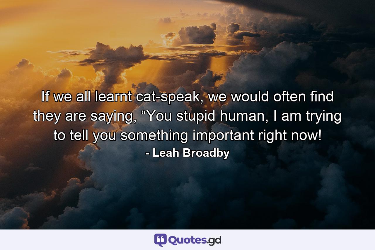 If we all learnt cat-speak, we would often find they are saying, “You stupid human, I am trying to tell you something important right now! - Quote by Leah Broadby